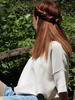 Pullover aus Bio-Baumwolle, GOTS