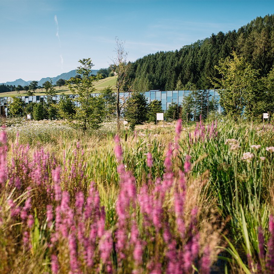 Frühling im Almtal