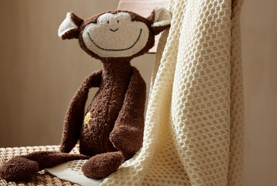 Die Prototypen gehen in Serie