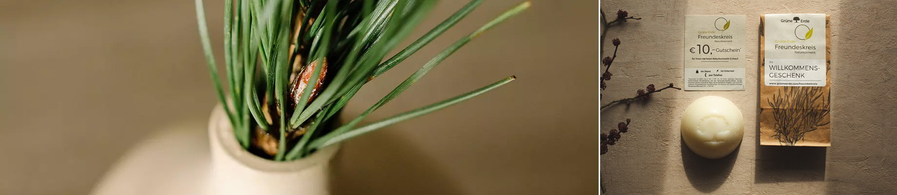 Grüne Erde-Freundeskreis